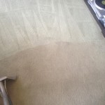 Carpet-Cleaning-Miami