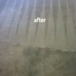 Miami-Carpet-Cleaning-Carpet-Cleaning