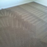 Miami-Carpet-Cleaning-Wall-To-Wall